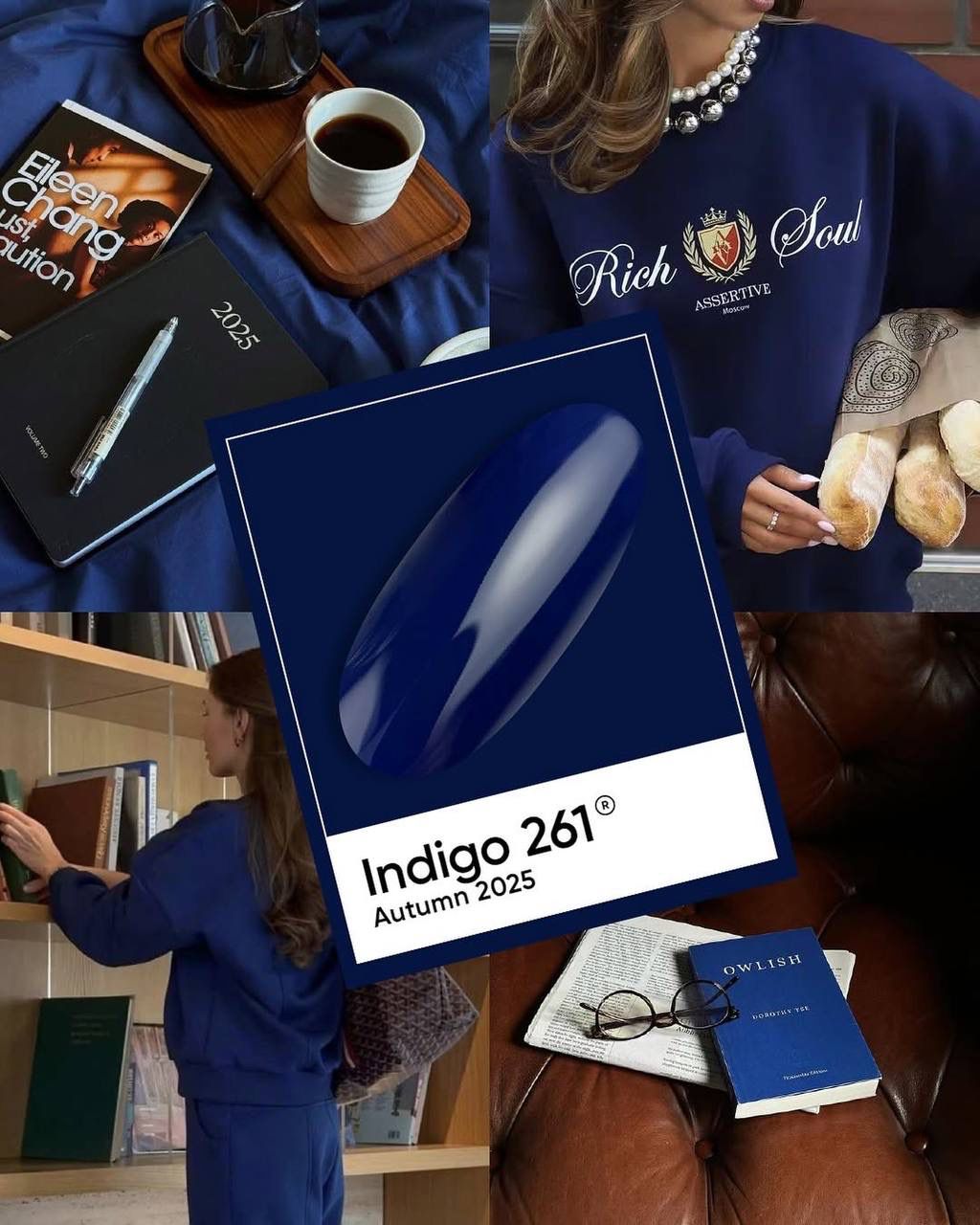 Indigo 261